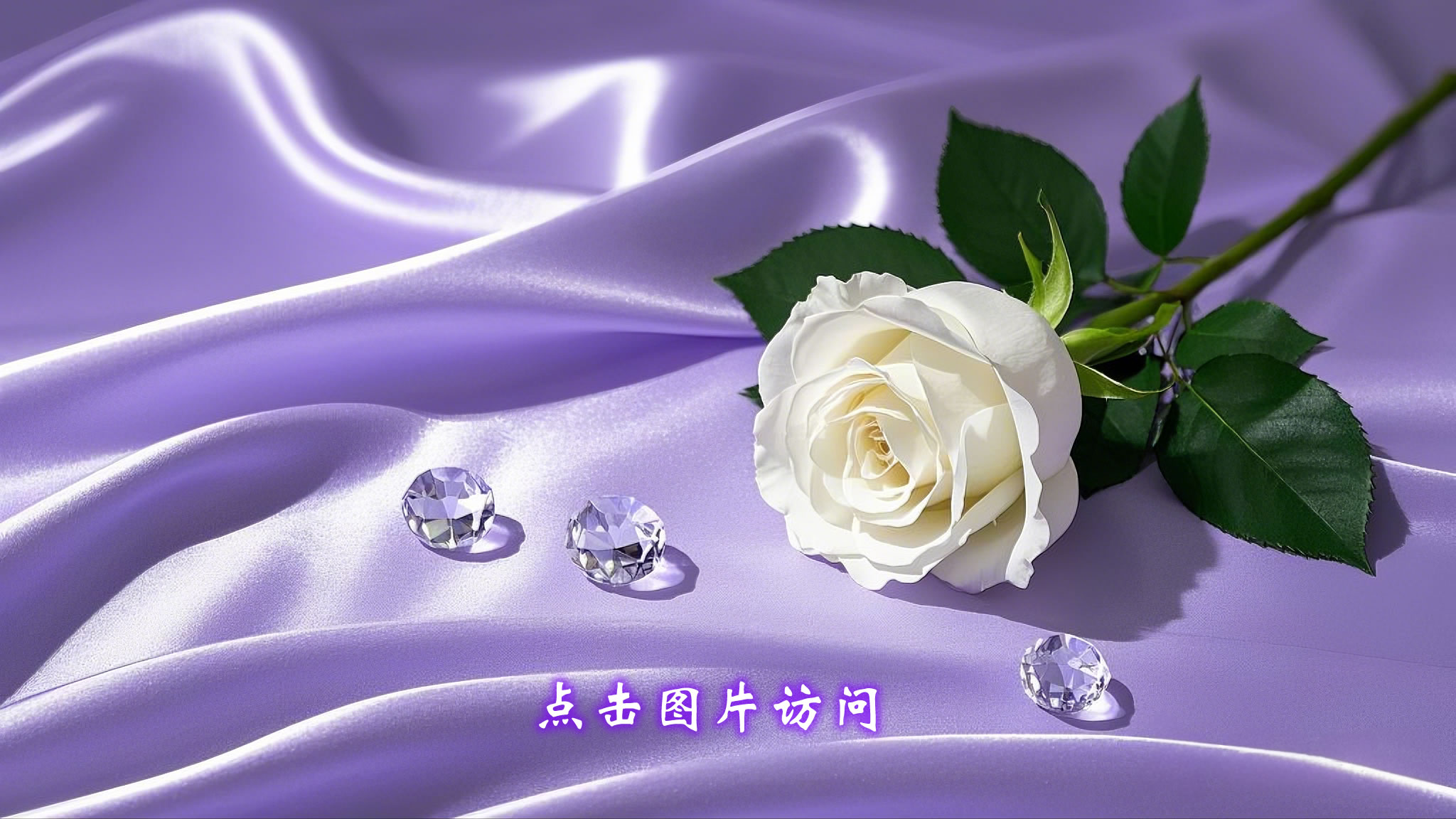 点击图片可访问线上平台